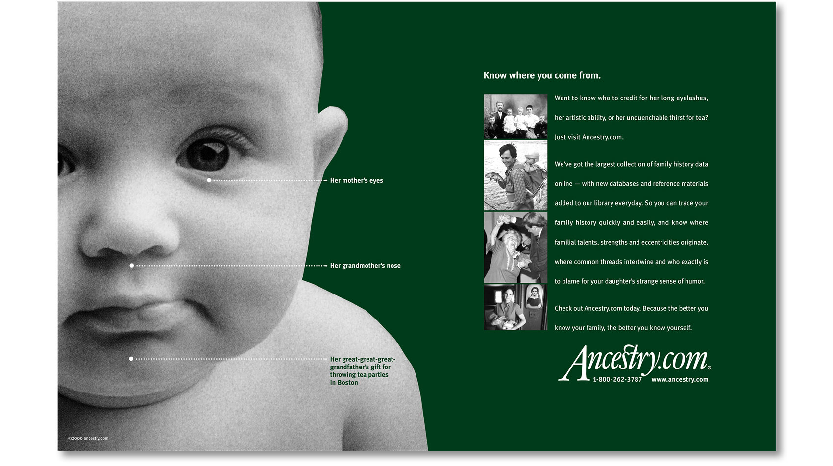 ancestry-baby_03